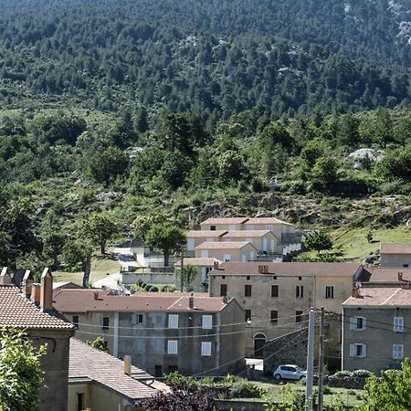 Вилла Terrasse De Malbeccu Casamaccioli Экстерьер фото